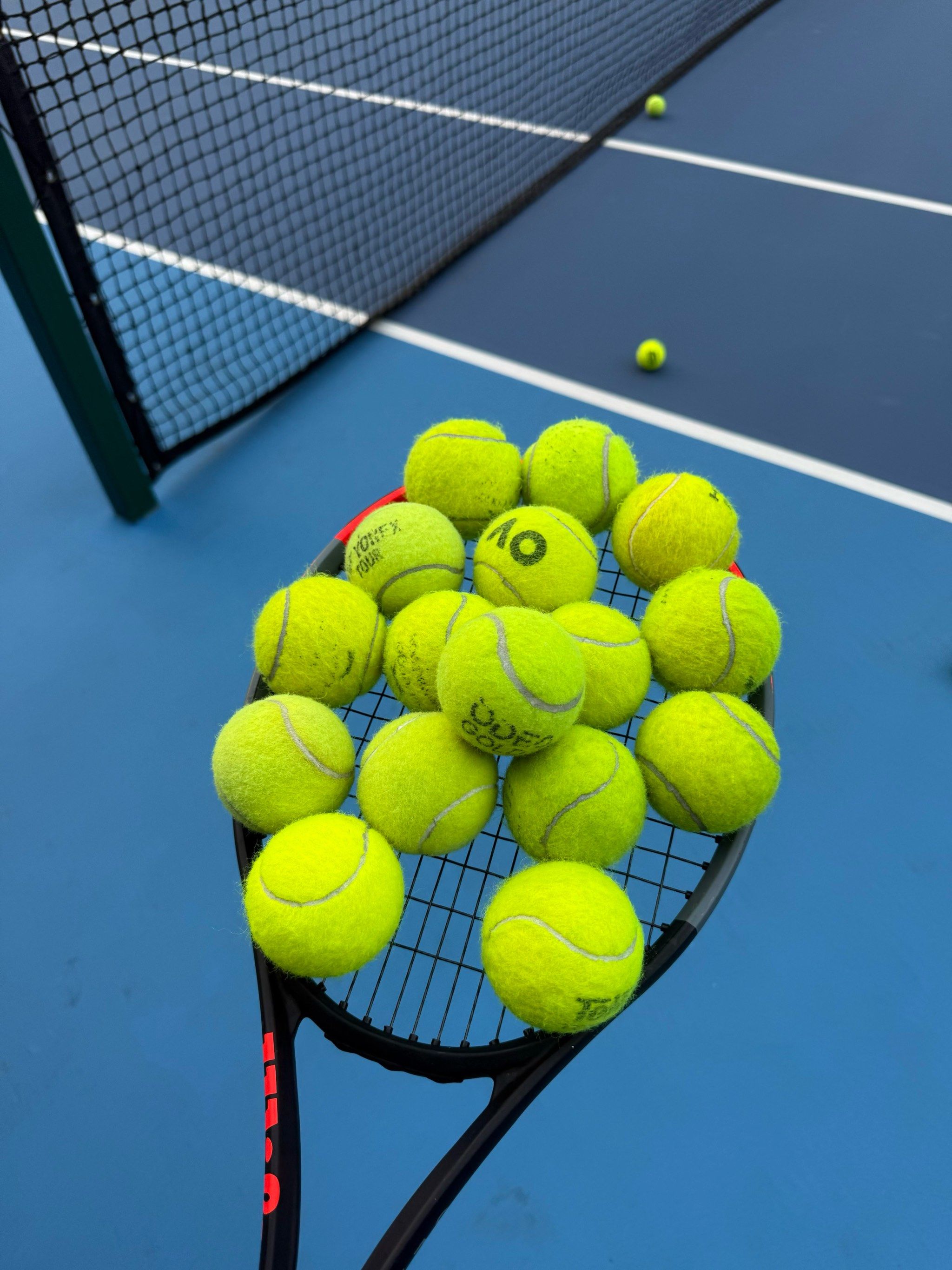 大的战术灵 大的战术灵