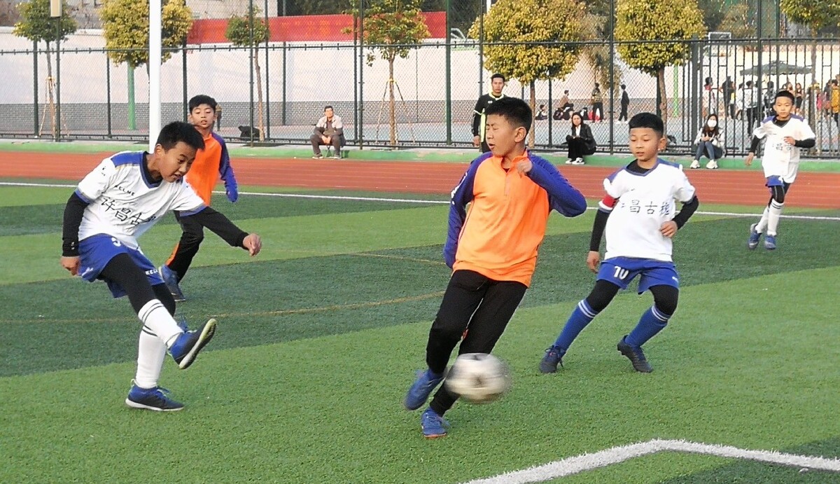 身受击部位 身受击部位